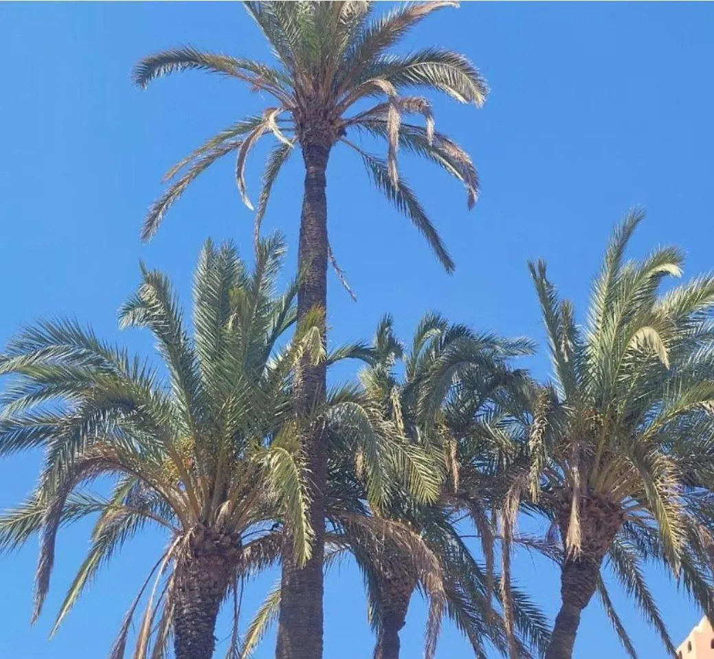 Palmeraie 5 Vue Piscine Et Jardin مراكش